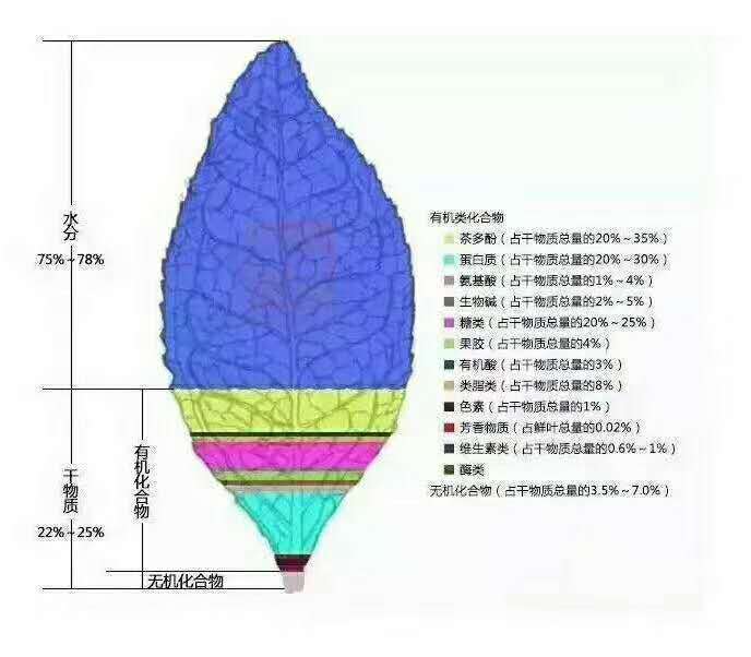 茶叶所形成的色,香,味是由茶叶的内含物质所表现的.